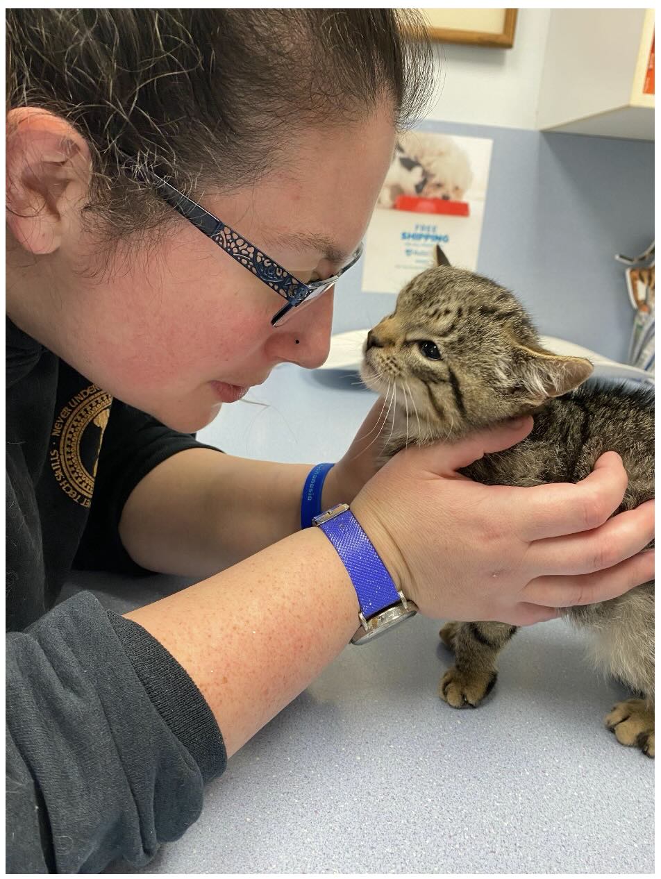 Screenshot 2025 09 11 at 3.39.00 PM